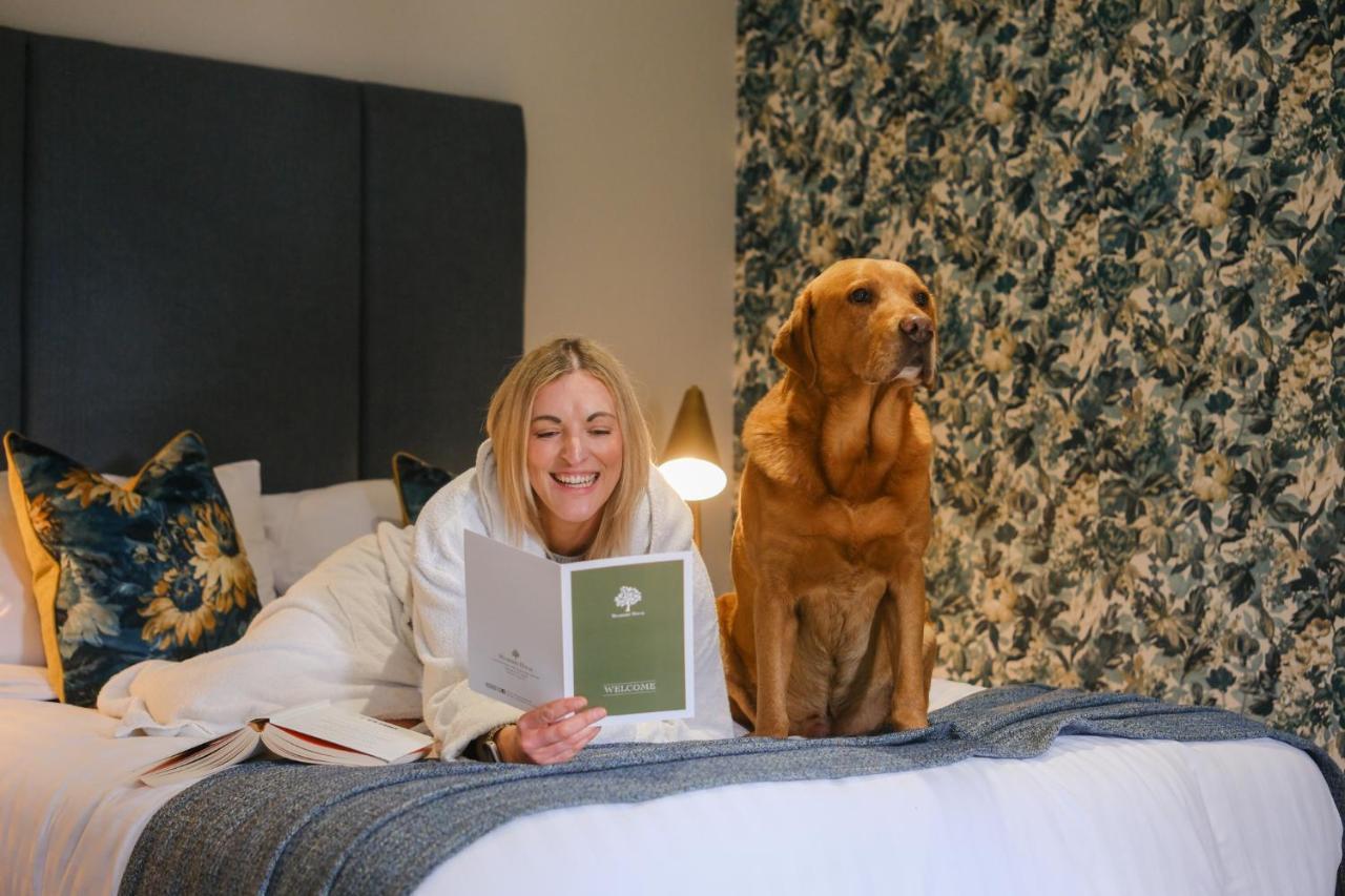 Mulberry House Pensionat Ongar Eksteriør billede